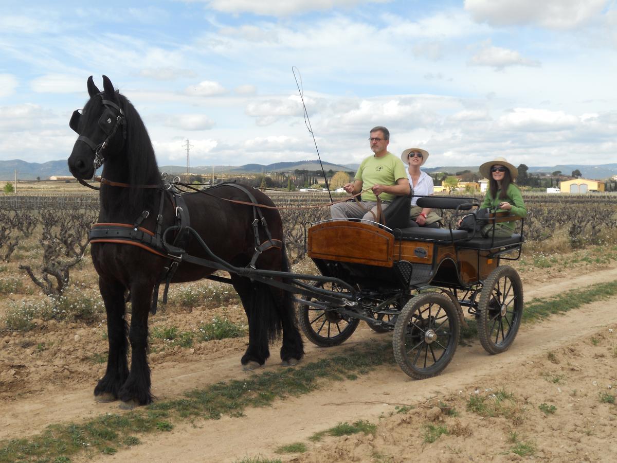 Hotel Rural Cal Ruget Vilobi Del Penedes Екстер'єр фото